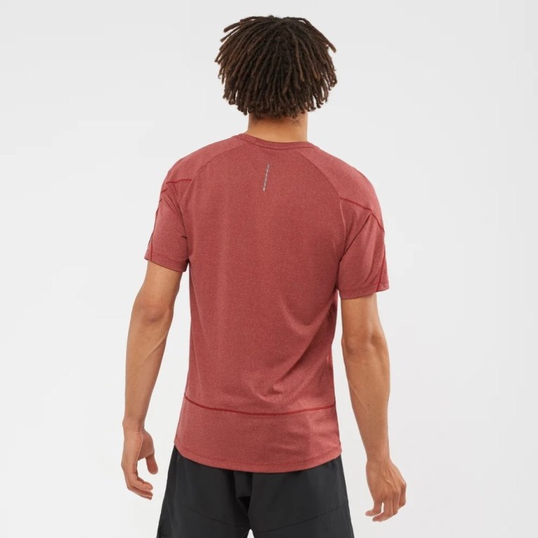 Dark Red Salomon Cross Run Graphic Short Sleeve Men's T-Shirts | PH 34210U